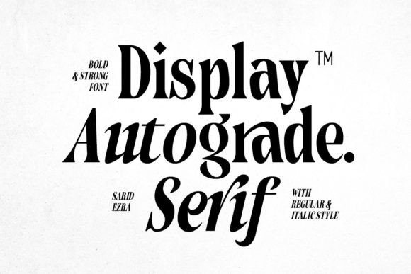 Download Autograde - Strong Bold Serif - Strong Collection